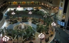 OIA Hyatt